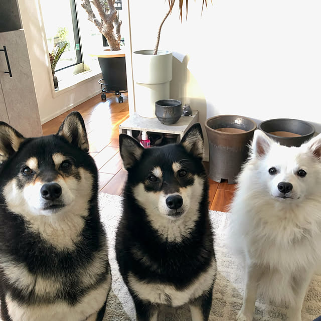 nuruiさんの実例写真