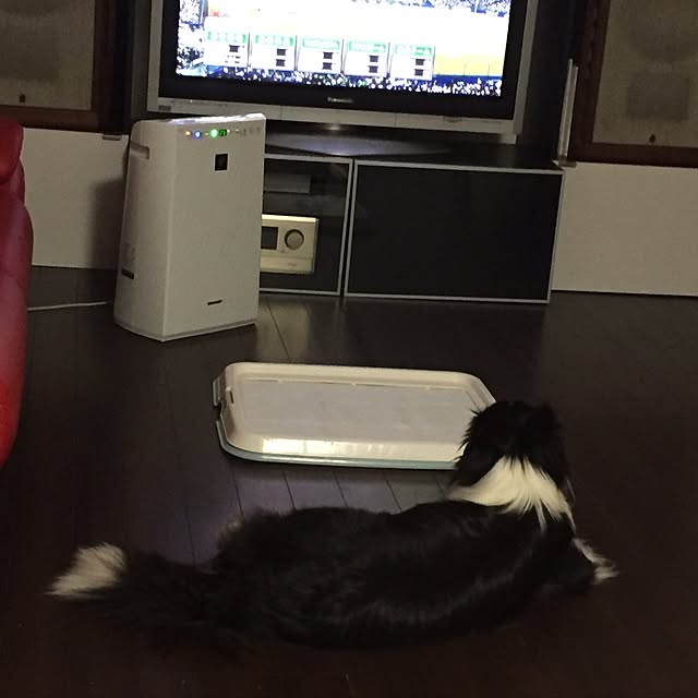 taeさんの実例写真