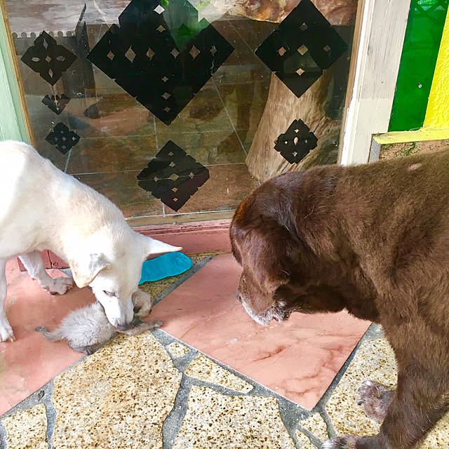 Mさんの実例写真