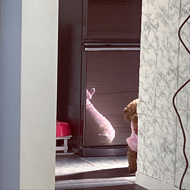 MOMOMAMAさんの実例写真