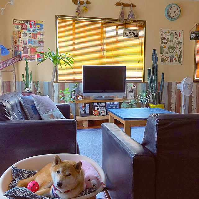 Kanakoさんの実例写真