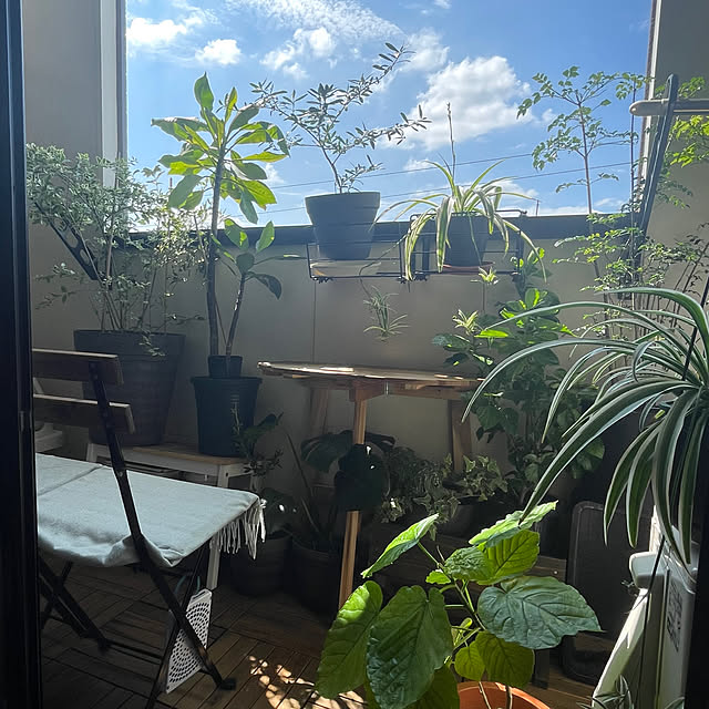 akoさんの部屋