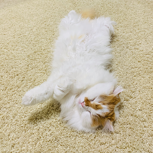 keiさんの実例写真