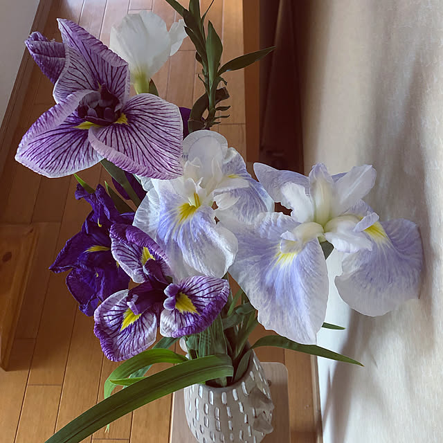 HAさんの実例写真