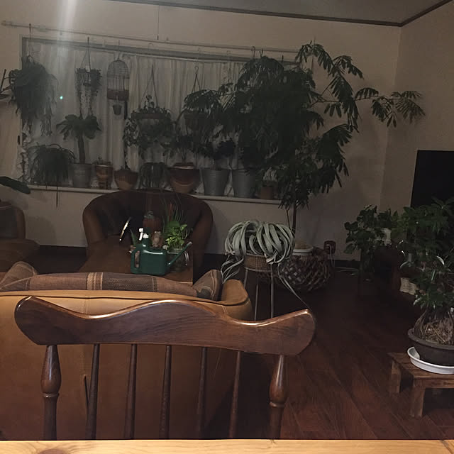 youkoさんの実例写真