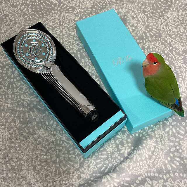 toratanさんの実例写真