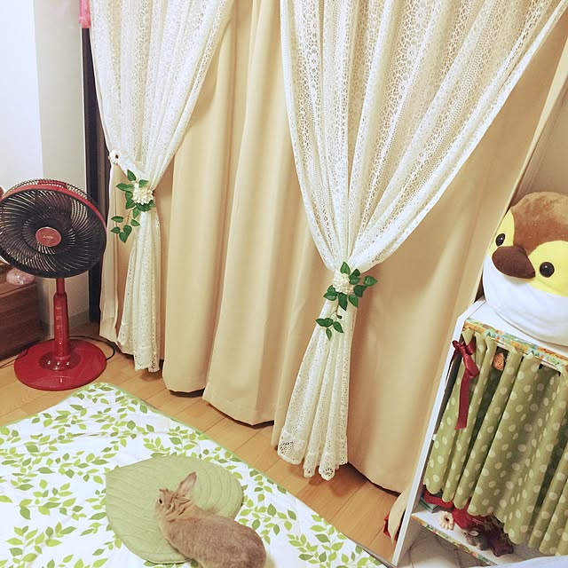 woyukiさんの実例写真
