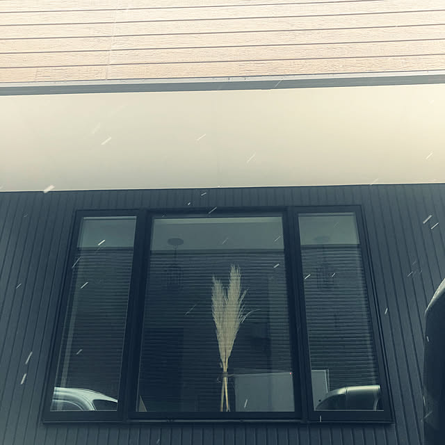 Kinakoさんの実例写真