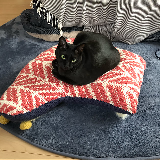 ryooooさんの実例写真