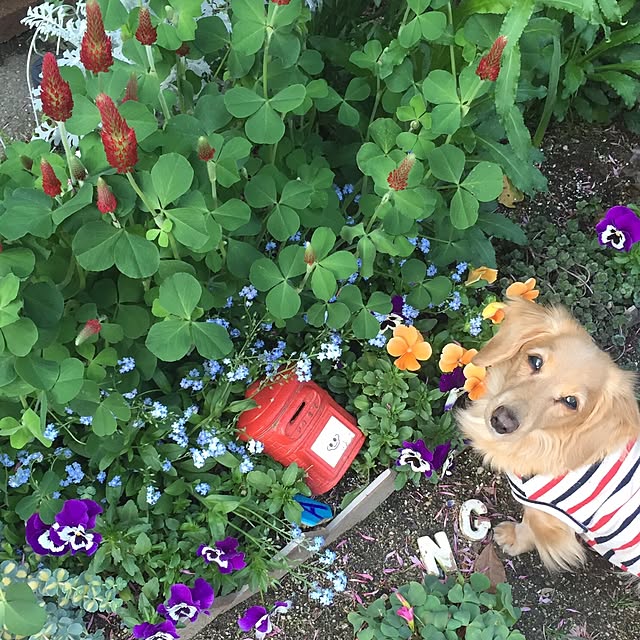bibianさんの実例写真