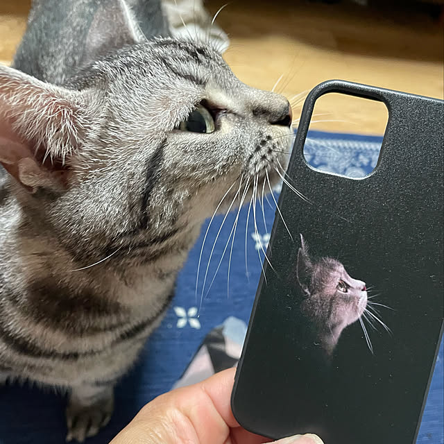 yumiさんの実例写真