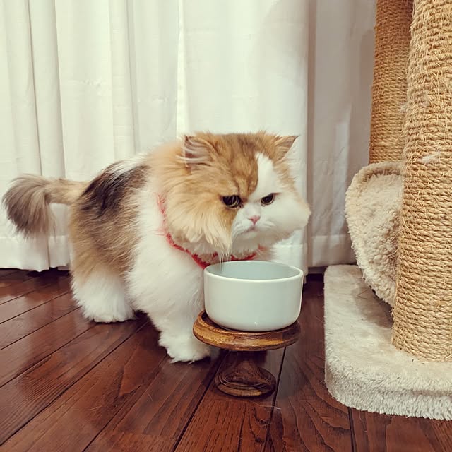 amutantanさんの部屋