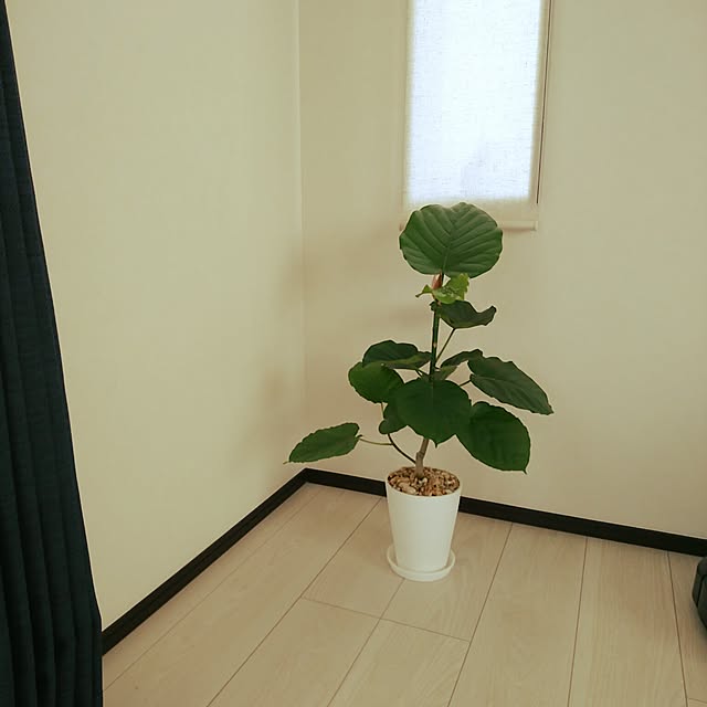 Akoさんの実例写真