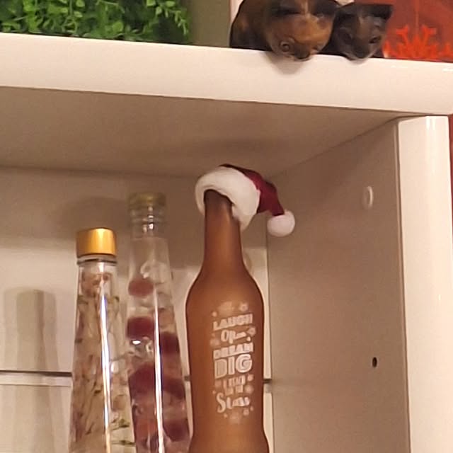 hakata-baさんの部屋