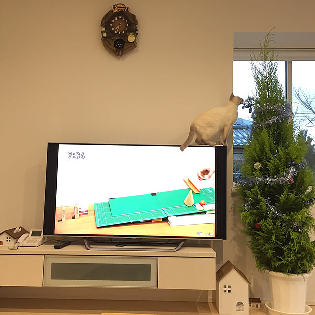 OmamekOさんの実例写真