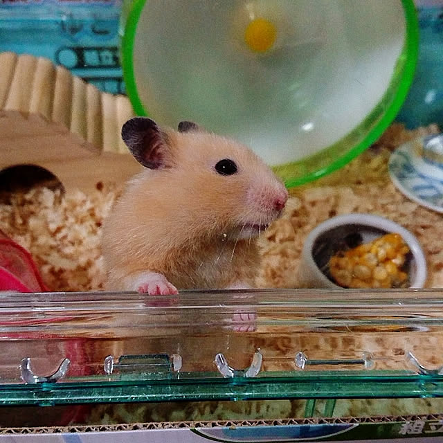 Yさんの実例写真