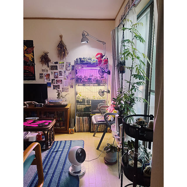 w_end_0625さんの実例写真