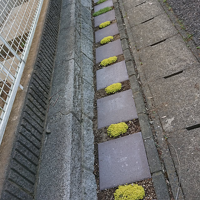 sakura1128さんの実例写真