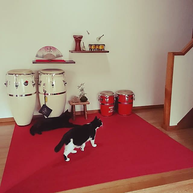 uchizukonyanさんの実例写真