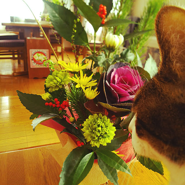 rinさんの実例写真