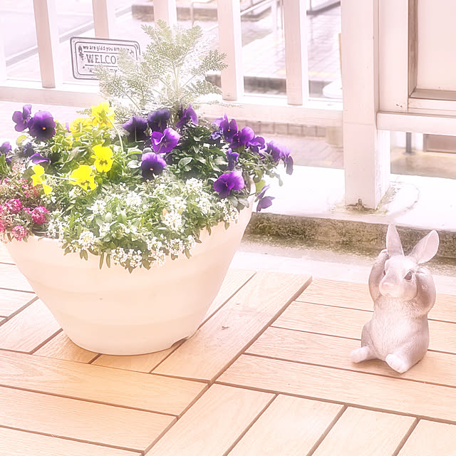 miyumiyuさんの実例写真