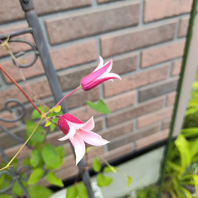 kiraさんの部屋