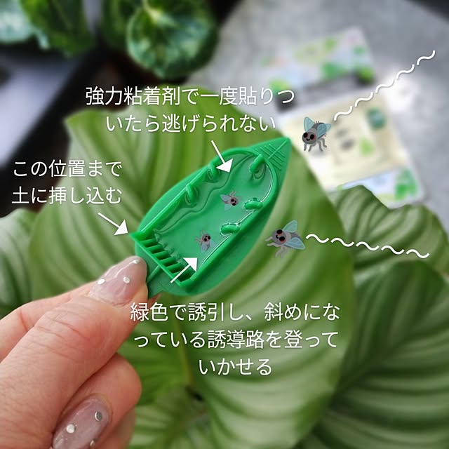 jinさんの部屋