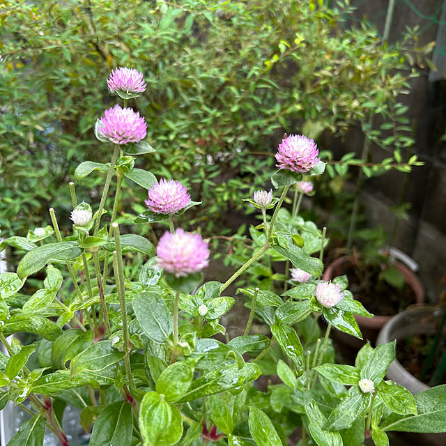fumikoiさんの部屋