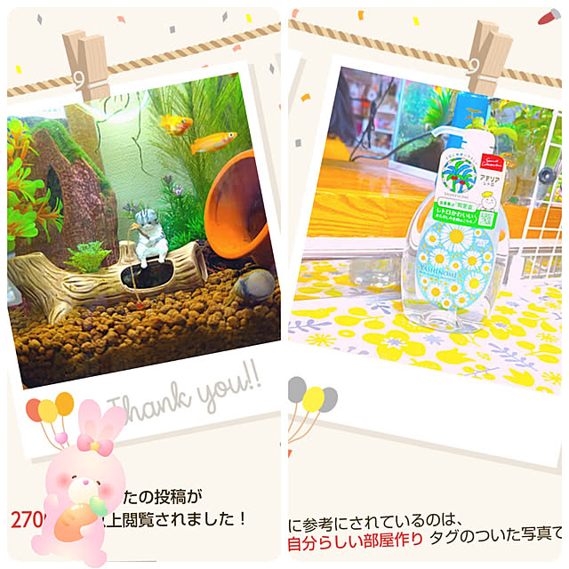 mariaさんの実例写真