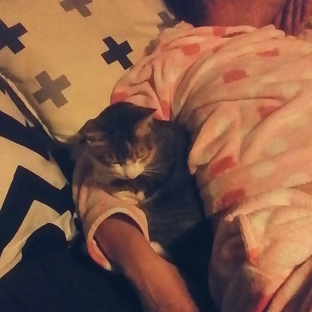 annさんの実例写真