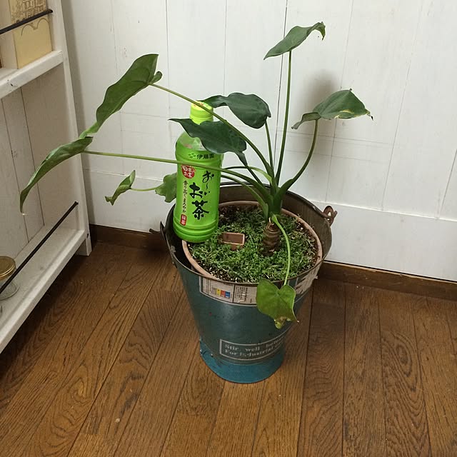 natulove0418さんの実例写真