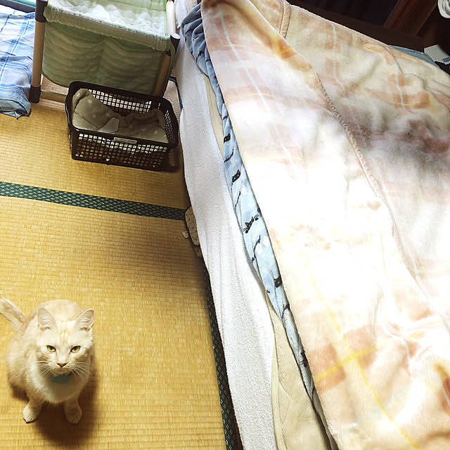 mimitti0930さんの実例写真