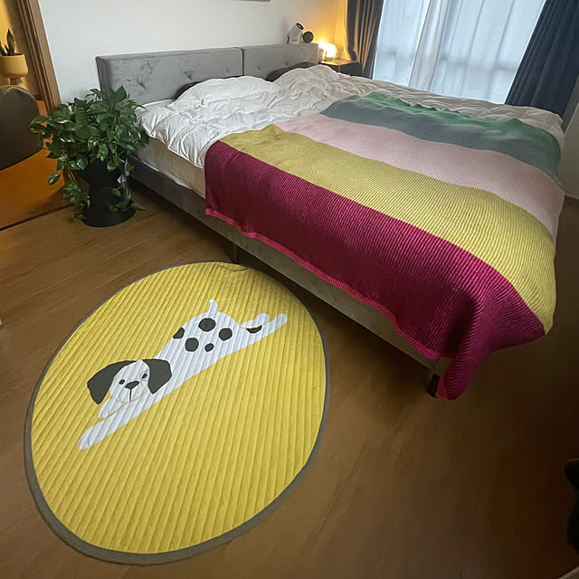 akoさんの実例写真