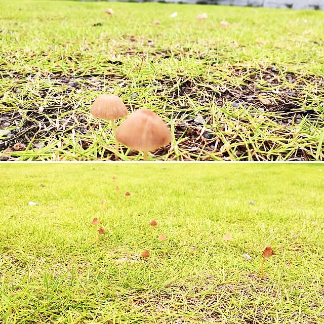 Kanakoさんの実例写真