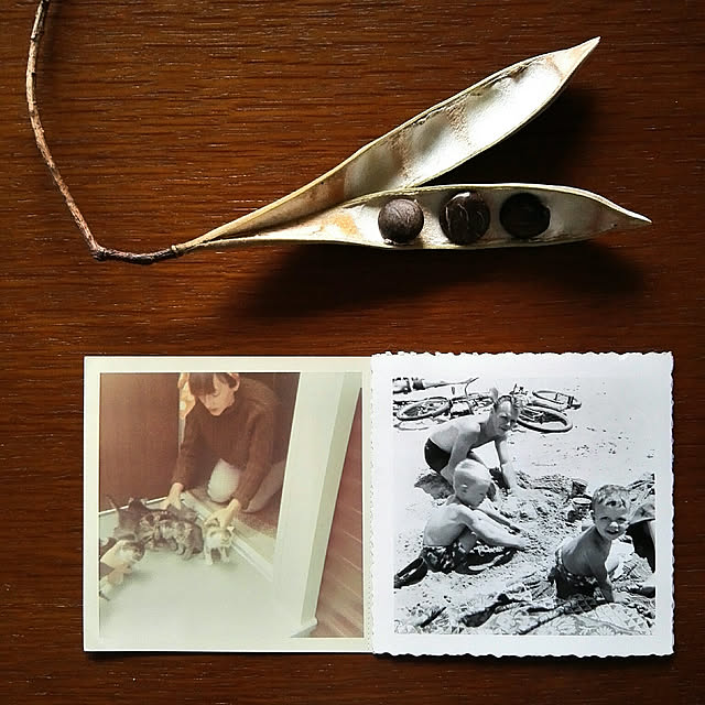 faunさんの実例写真