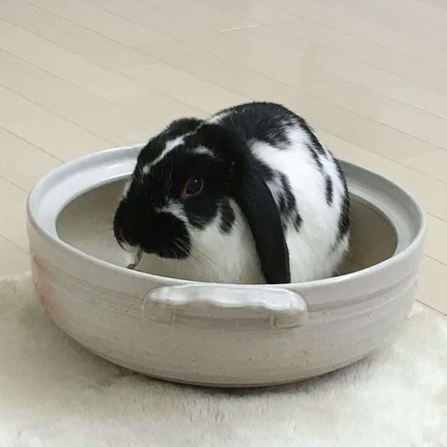 mana1021さんの実例写真