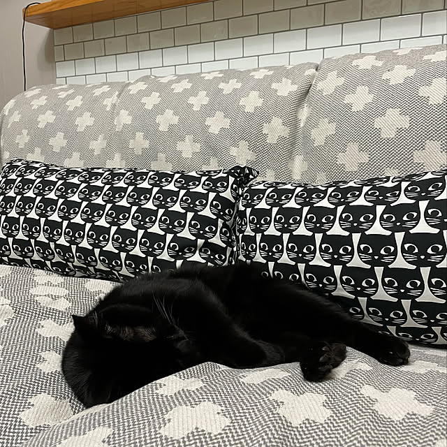 ayutaxさんの実例写真