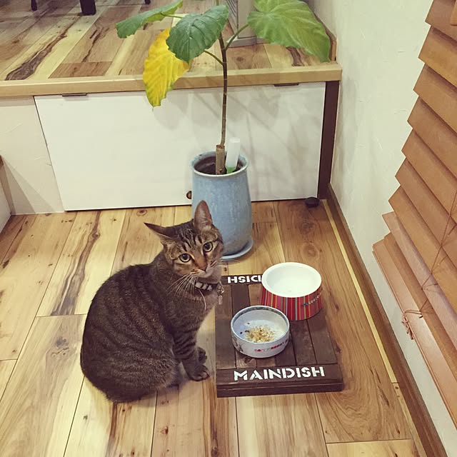 TENPAMさんの実例写真