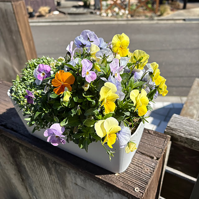 miyukiさんの部屋