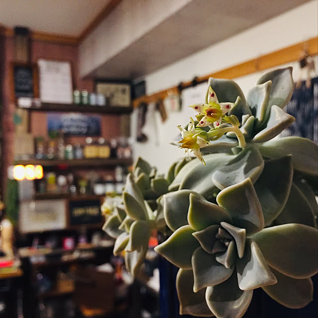 -Mackey-さんの実例写真