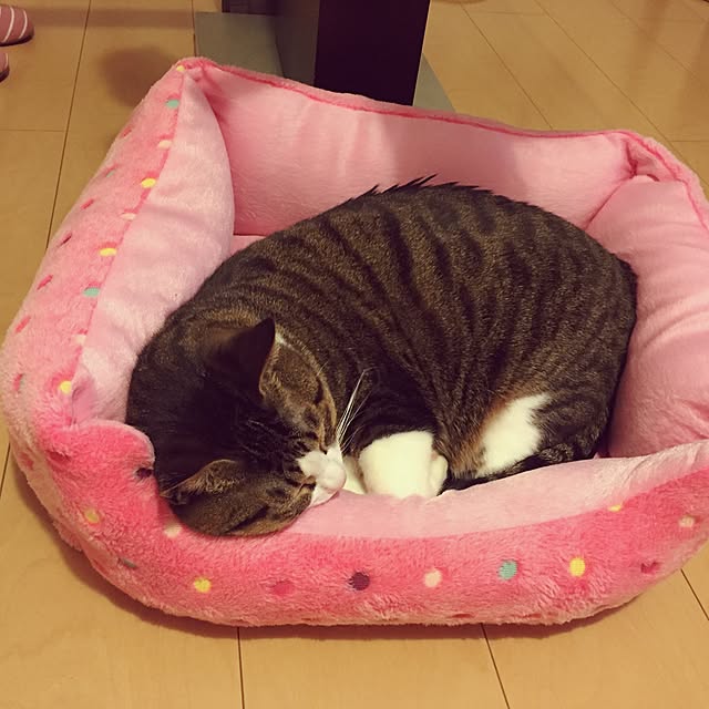 yukarin0127さんの実例写真