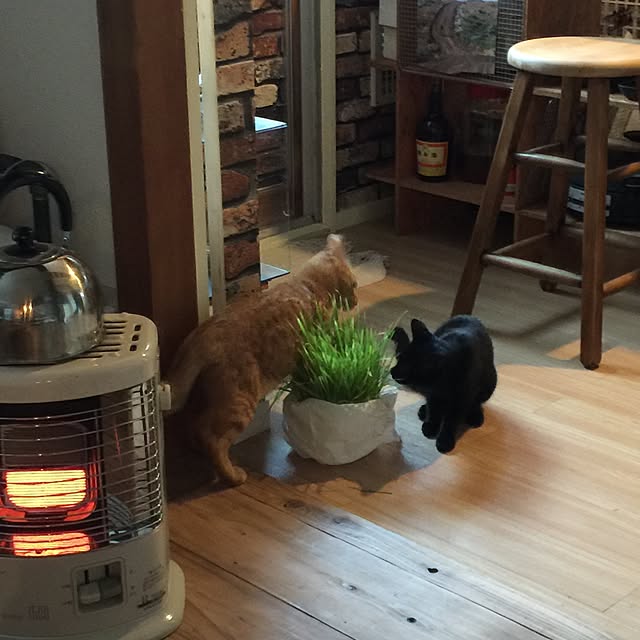 sumisumiさんの実例写真