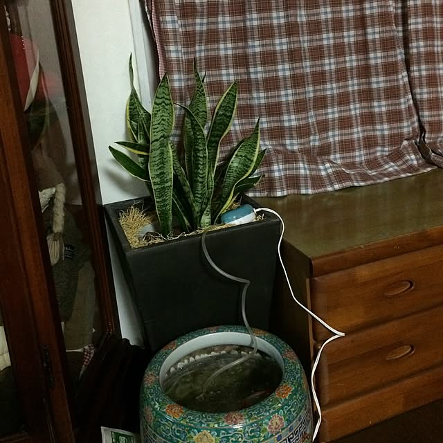 hy.orive666さんの実例写真