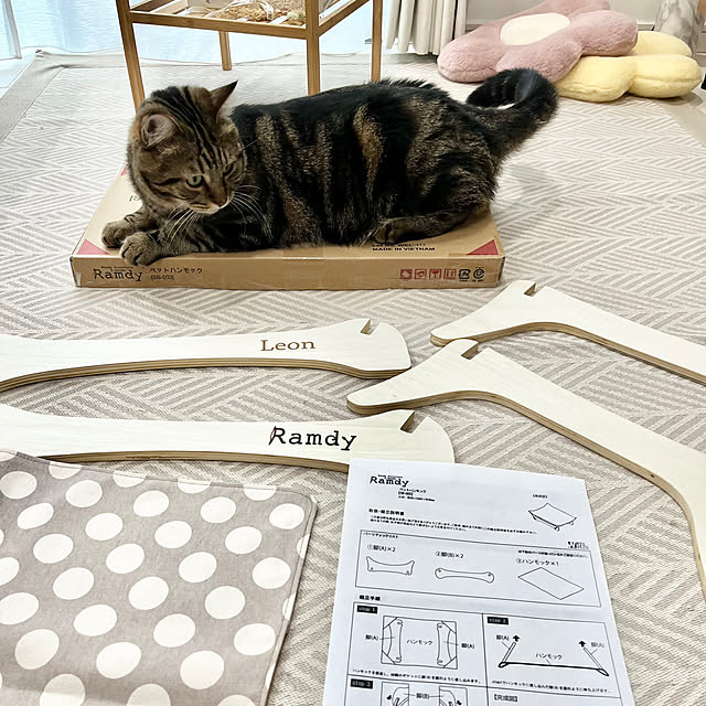 b.bさんの実例写真