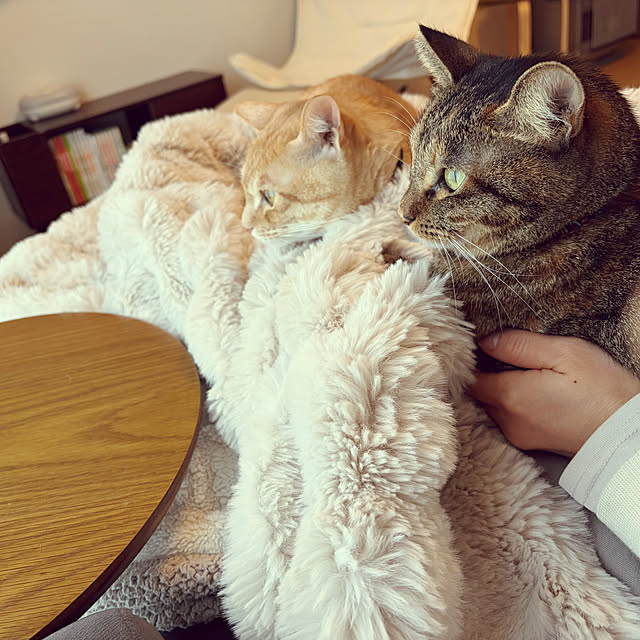 chiiさんの実例写真