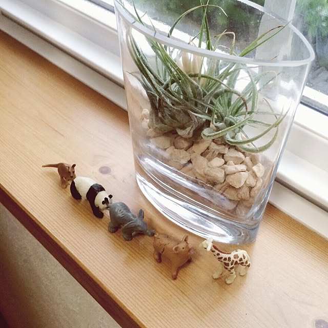 cocoさんの実例写真