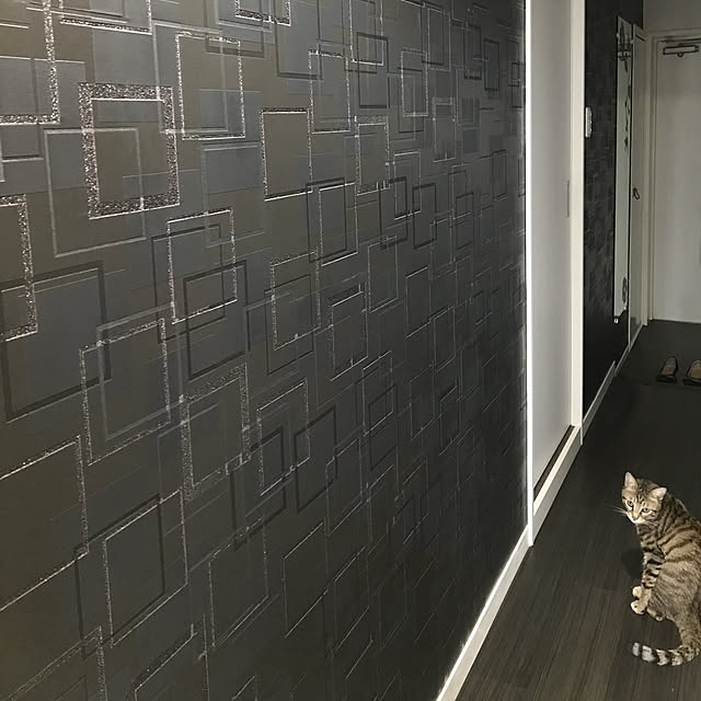momoさんの実例写真