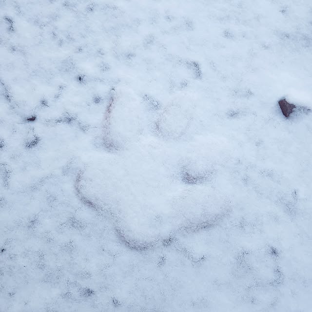 shimaaadsさんの実例写真