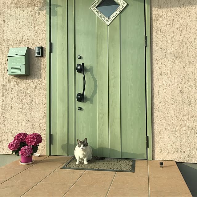 ベッド周りのインテリア実例 - 2017-05-02 17:01:41