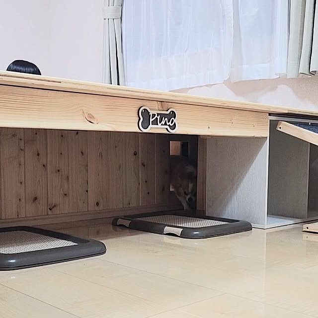 ponさんの実例写真